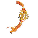 A wedding Ghana band with red and gold colors, tied with an orange thread.