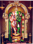 Ganesh Ji (Pic Frame )