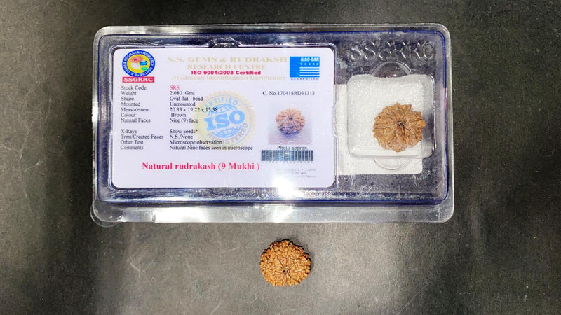 Rudraksha Beeds