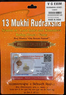 Rudraksha  Pendant