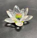 Multicolor Lotus